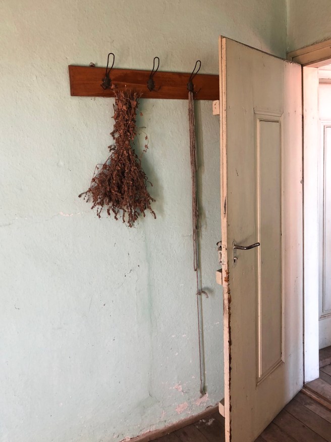 C4525E40-7347-4294-8235-DB0DE351464C