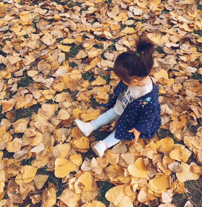 E391F71B-5655-4241-B959-652E93D6A6ED