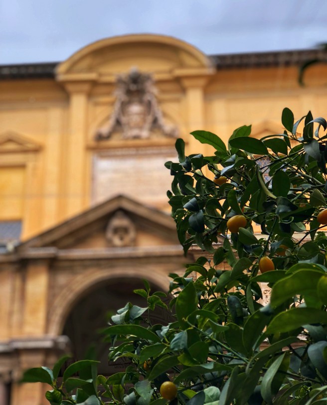 EB08F003-432D-4E29-AC36-78335D12103A