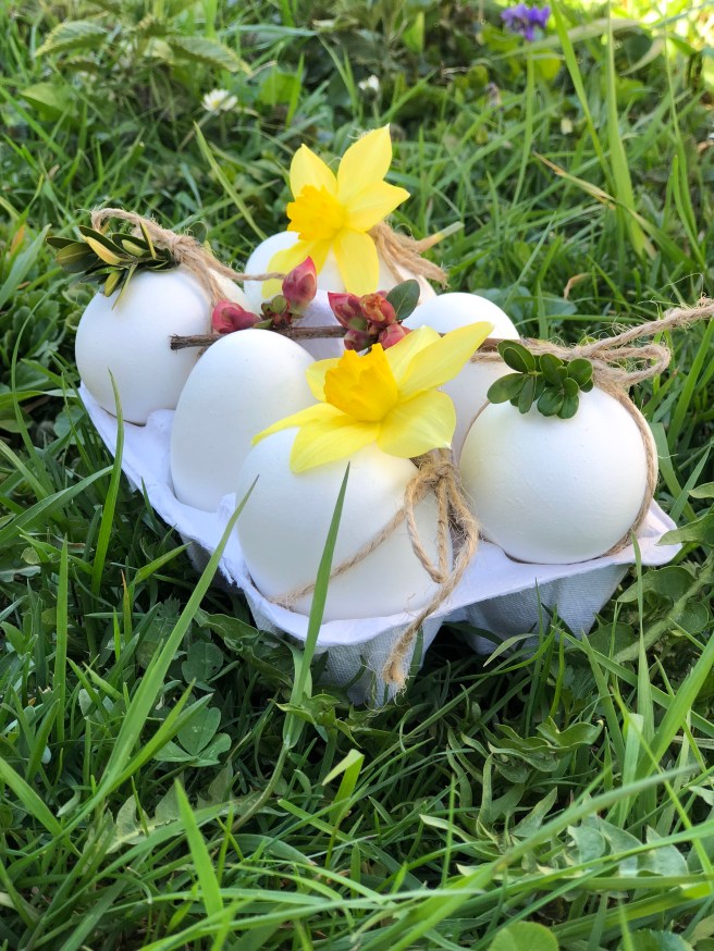 607DDF37-52B8-4929-BD73-568A28BB8C7A