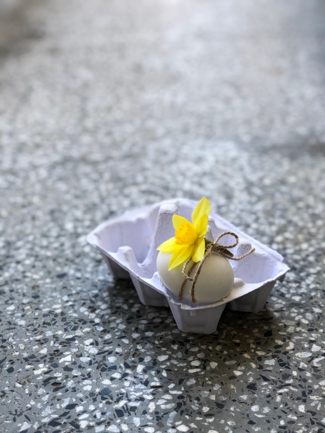 BE27535D-5B55-40EC-B9C8-430649670438