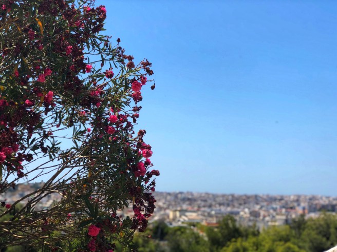 118FA054-6114-4145-A667-9107466C452A