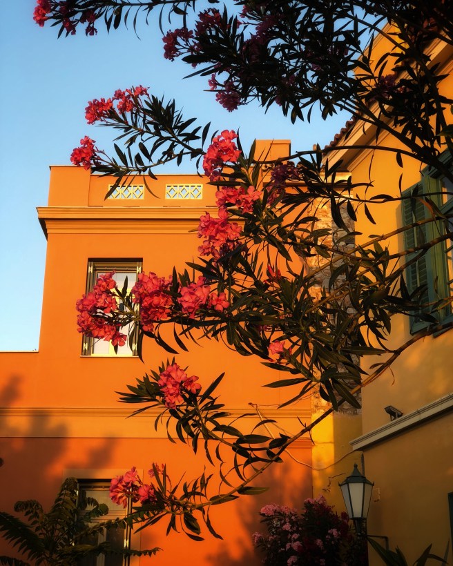 84980A0A-5929-40D9-8CD9-8B094B3A93A7