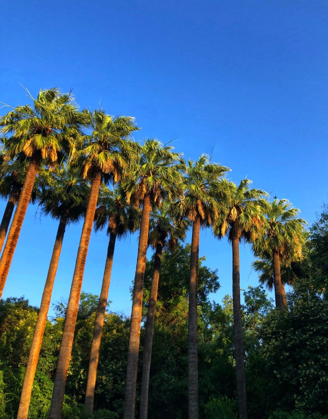 AC59EA90-2EF3-4BE5-B0D3-5A3162C441EC