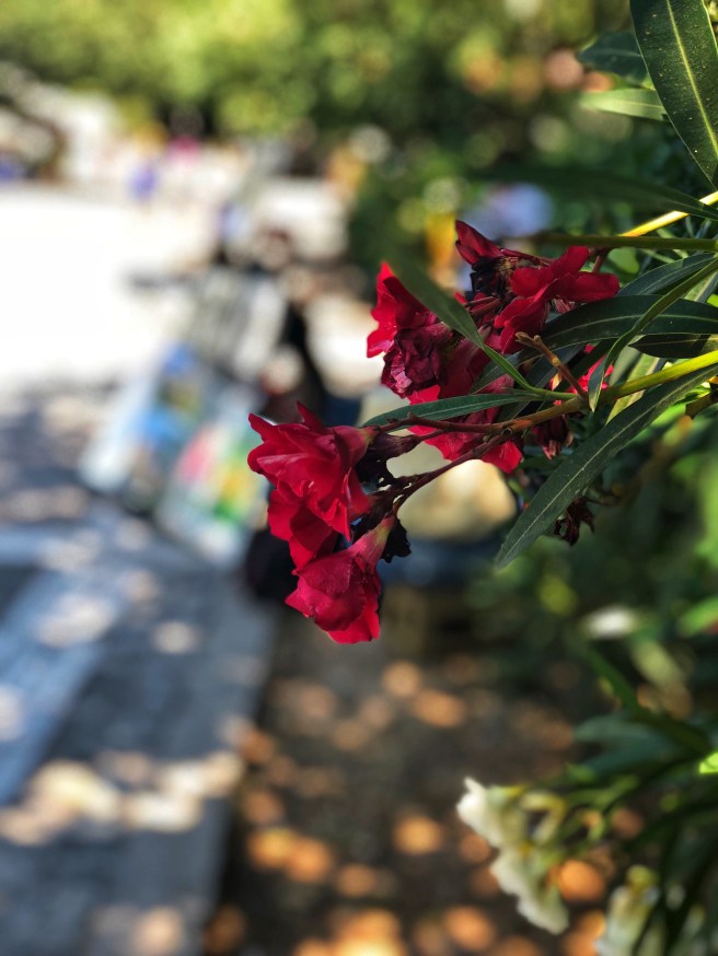 B5413CB9-8166-45AE-806E-3A156FB25714