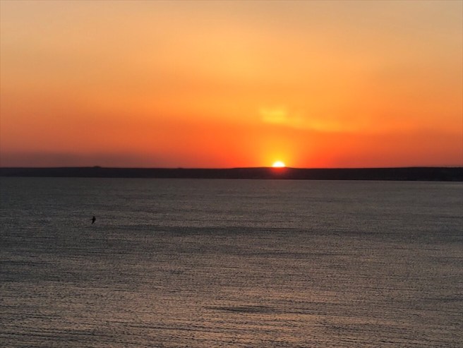 9BE44F1C-C3AB-49C5-BA12-40357714C85B