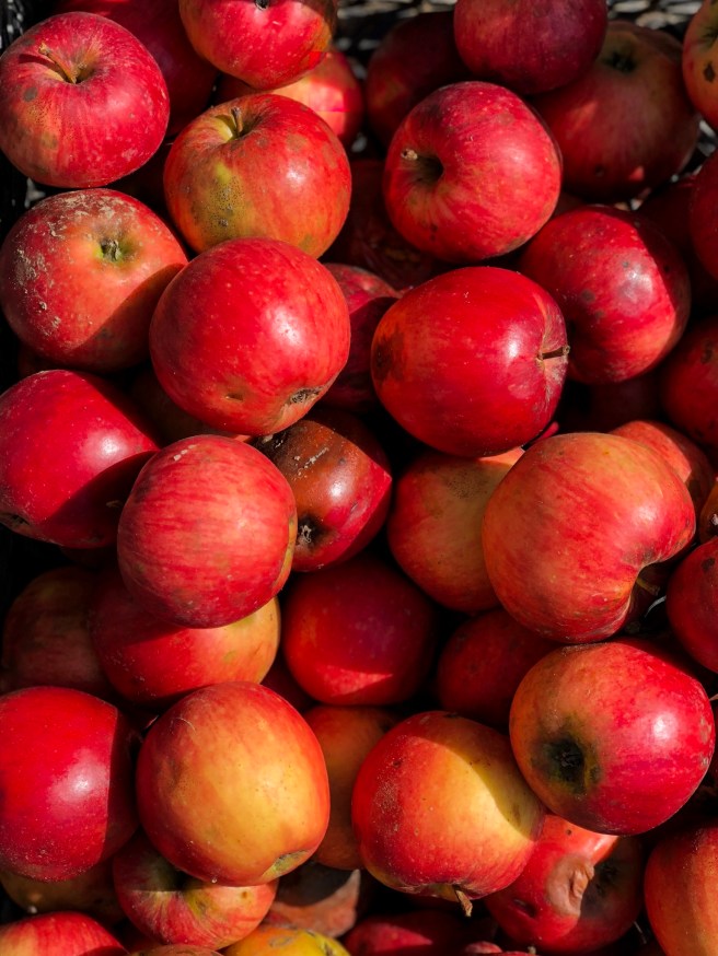 6A5DC815-E4A5-4B3A-9584-BBF665130F9B