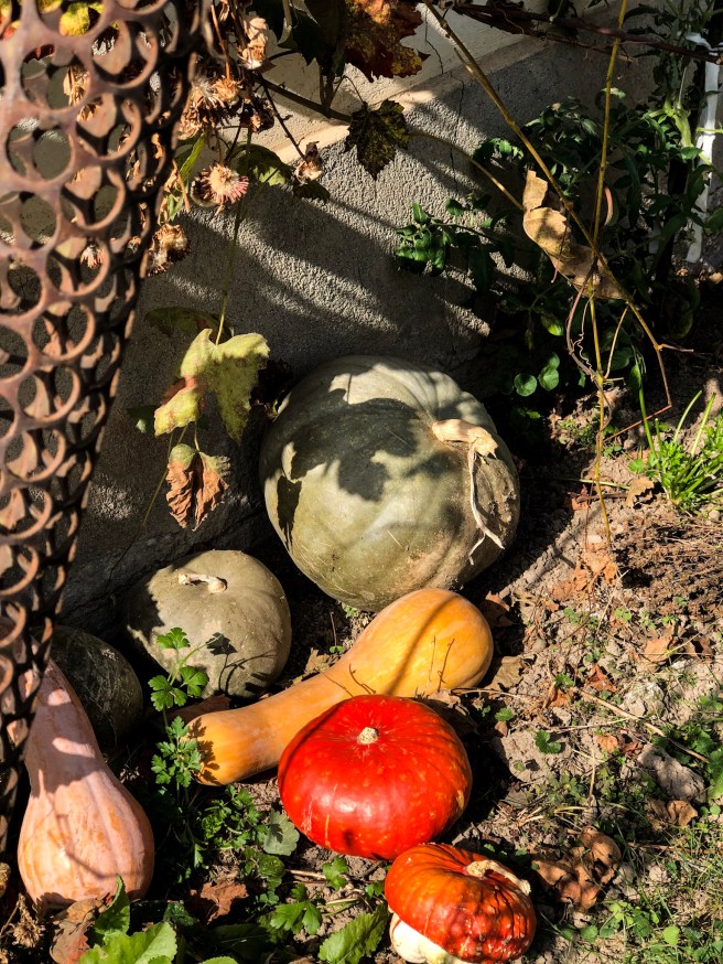 DE4B84D2-3597-4997-9BF9-7F0F5AF4182D