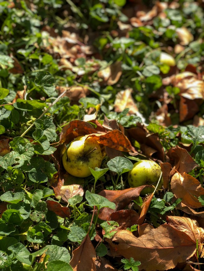 F9EDED1E-84AB-4E79-AB56-416113BF77EA