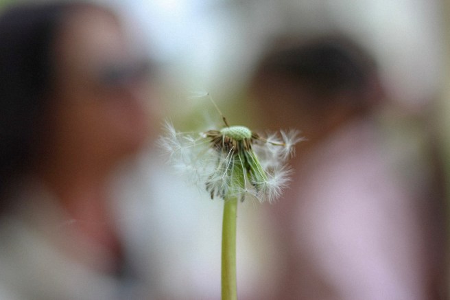 91A19016-8287-426E-BFEB-D0C51354664C