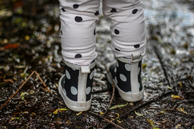 9BA5E12E-04F8-4AA9-9947-0F1309CE57BB