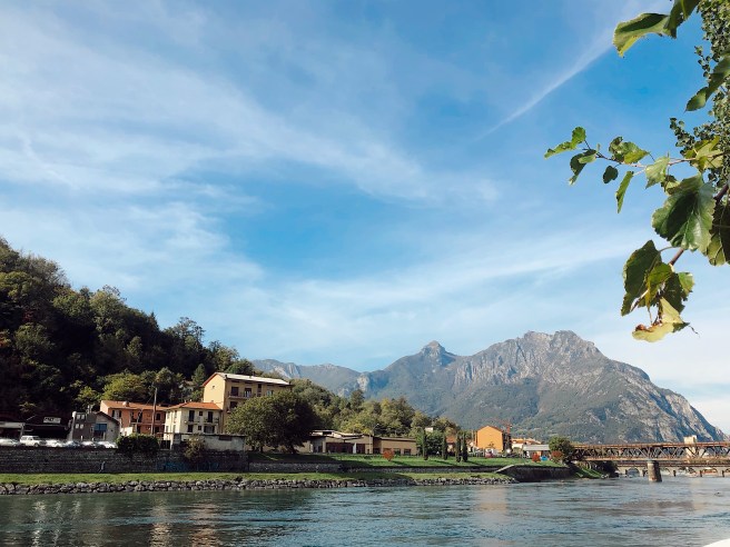 88E893D6-3D93-4664-BBD8-A5031BC78476